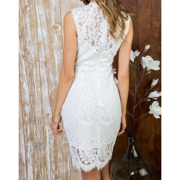 Main Strip Sleeveless Crochet Lace Knee Length Dress Nude Womens Size Medium - Picture 4 of 10